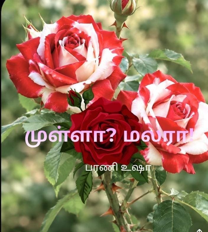முள்ளா? மலரா?
